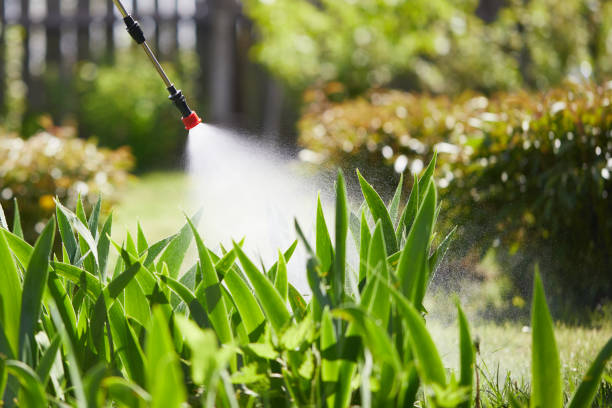 24/7 Emergency Termite Control experts in Spotswood, NJ