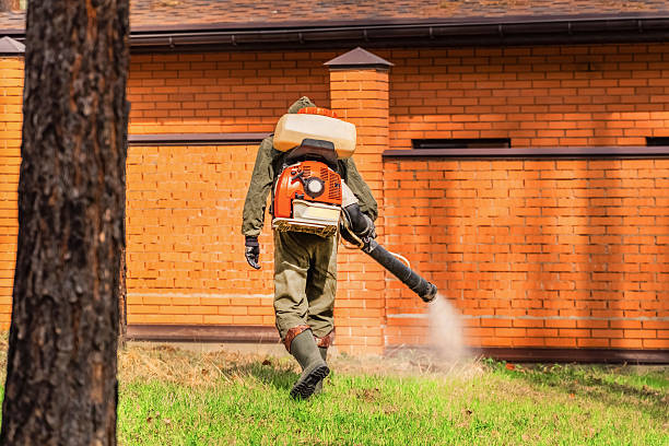 Trusted Ant Control service in Spotswood, NJ - Nex Pest Control